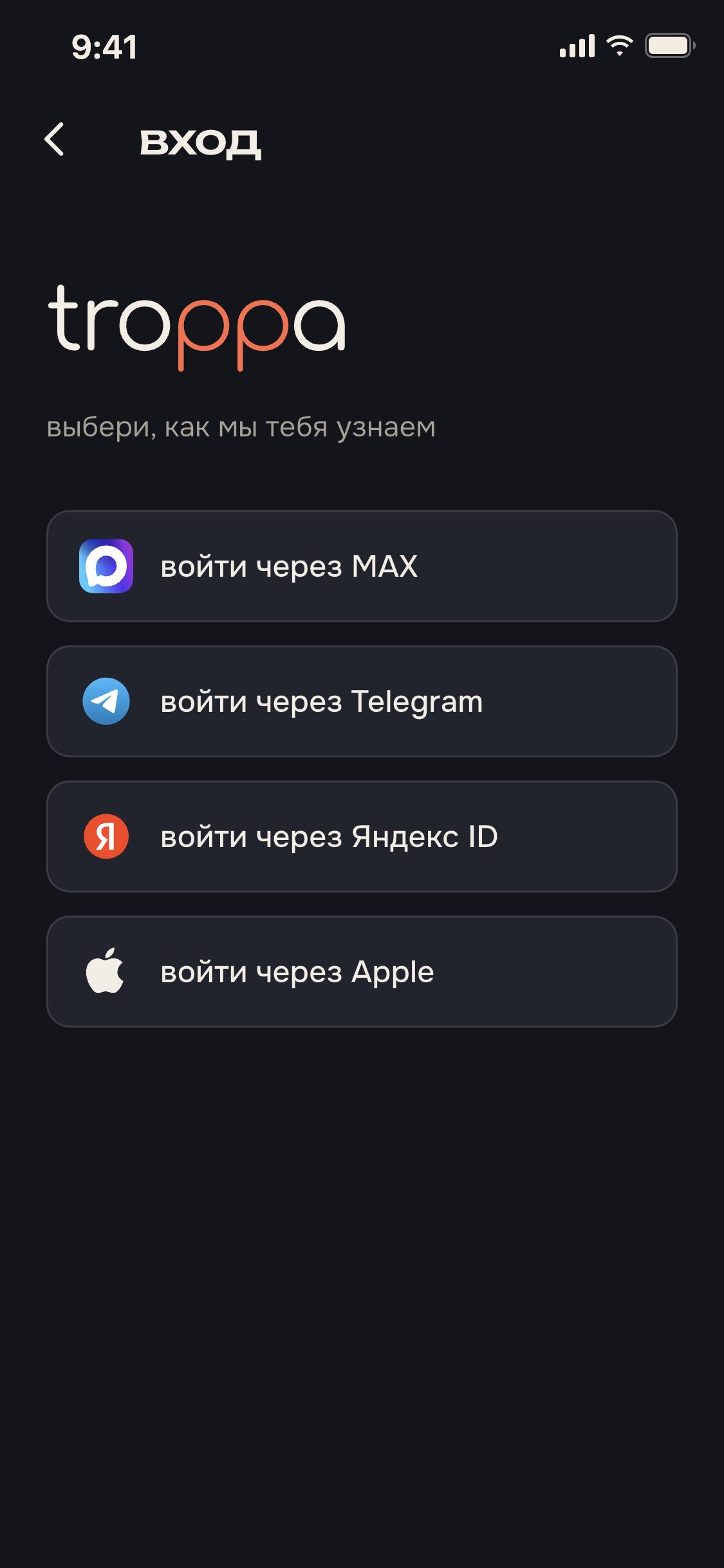 экран приложения: вход